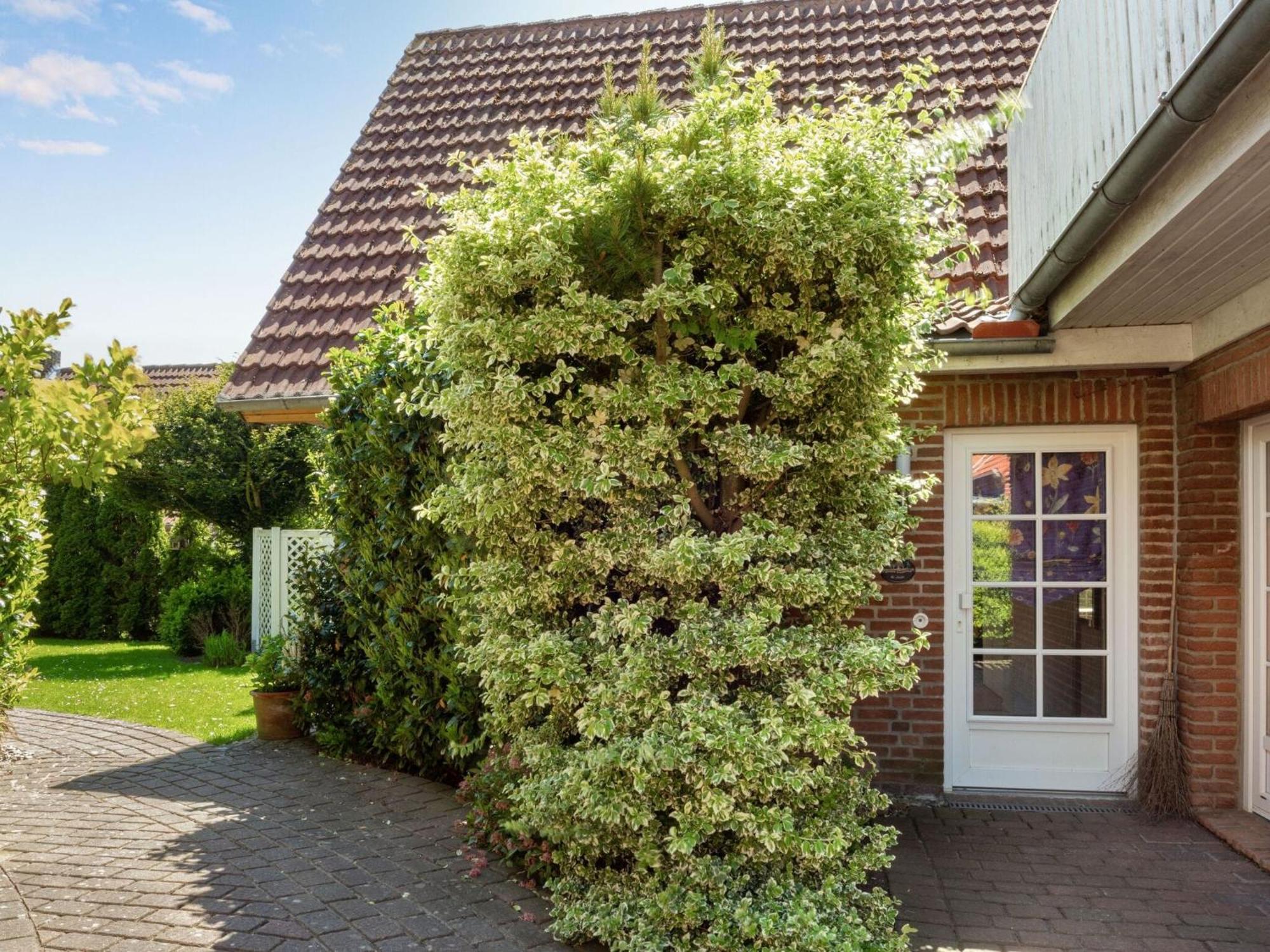Enticing Holiday Home In Oldenburg With Garden Near Sea Dannau Zewnętrze zdjęcie